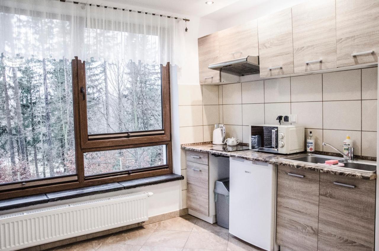 Willa Montis Szklarska Poręba Exterior foto